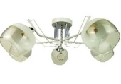 wyq778udu