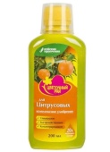 Новый точечный рисунок (91)