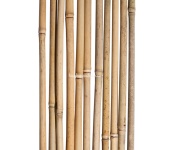 10-16mm01