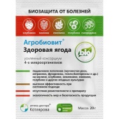 zdorovaya_yagoda