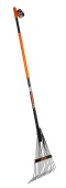 image (1)