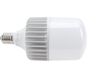 Лампа светодиодн. General 150W E40 6500K к.661082
