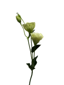 jq08bfg67srmt0cx8ba9efstq4_preview_0-ezremove