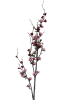 nny6ajz2k1rmr0cx7vqtx1zk24_preview_0-ezremove