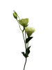 jq08bfg67srmt0cx8ba9efstq4_preview_0-ezremove