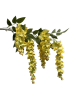 n4ff79rfzxrmy0cx8bcr7c4gr8_preview_0-ezremove