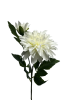 r8tb97gqknrmy0cx7tsb35qy14_preview_0-ezremove