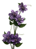 704b8135-2f39-4c20-aa42-c852dab17344-no-bg-preview (carve.photos)