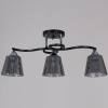 image424194-01