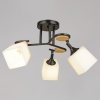 RL042170.303BK