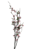 194hjqetghrmr0cx7vrak02x6c_preview_0-ezremove (1)