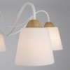 eurosvet818565
