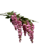 rqccgngfdxrmw0cx8bdbqe2z40_preview_0-ezremove