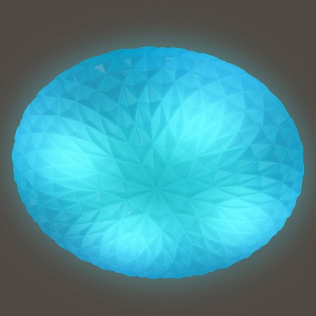 356645_5