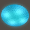 356645_5