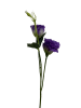 1g4nexz6v1rmy0cx8ba84tve54_preview_0-ezremove