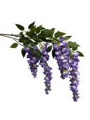 z8f1ds2mzsrmt0cx8bcsfbntz4_preview_0-ezremove