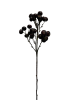 mngtrdwvnhrmr0cx8gd985paac_preview_0-ezremove