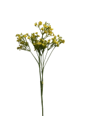 wn7xc927xdrmt0cx7vmvffx038_preview_0-ezremove