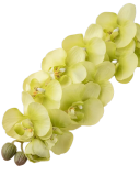 jb9d0ydmgxrmt0cx5ywb9h0e6w_preview_0-ezremove
